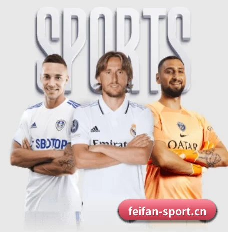 坚持做好基础的事 - 长期内容价值积累 - feifan sports